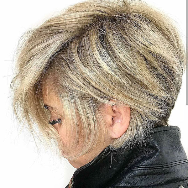 Pixie Bob Hair 1