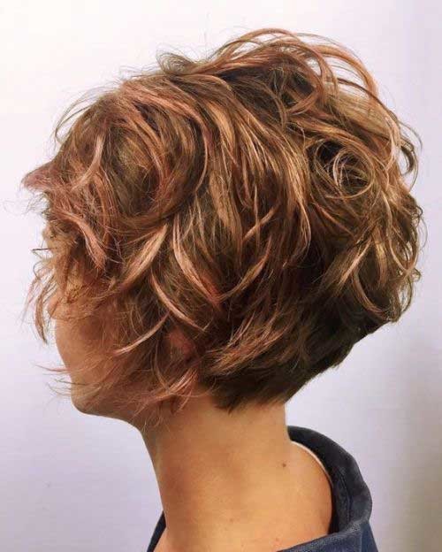 Curly Pixie Bob Hair