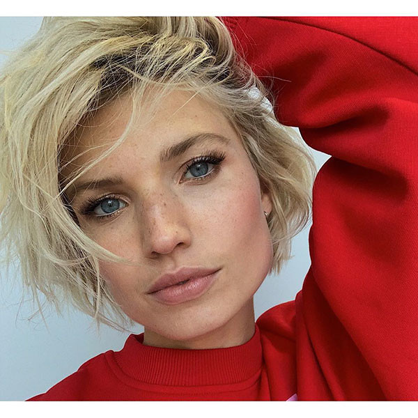 Cute Pixie Bob