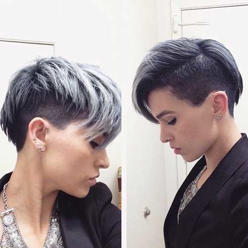 Grey Short Hair 2