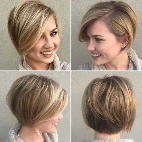 Pixie Bob