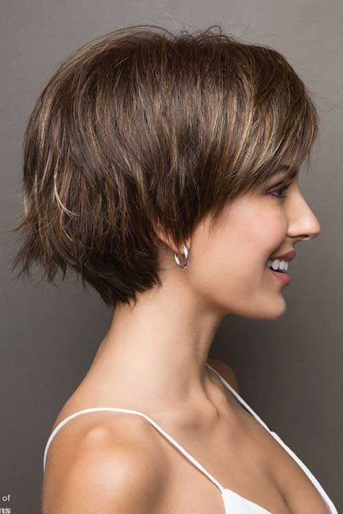 Stacked Pixie Bob