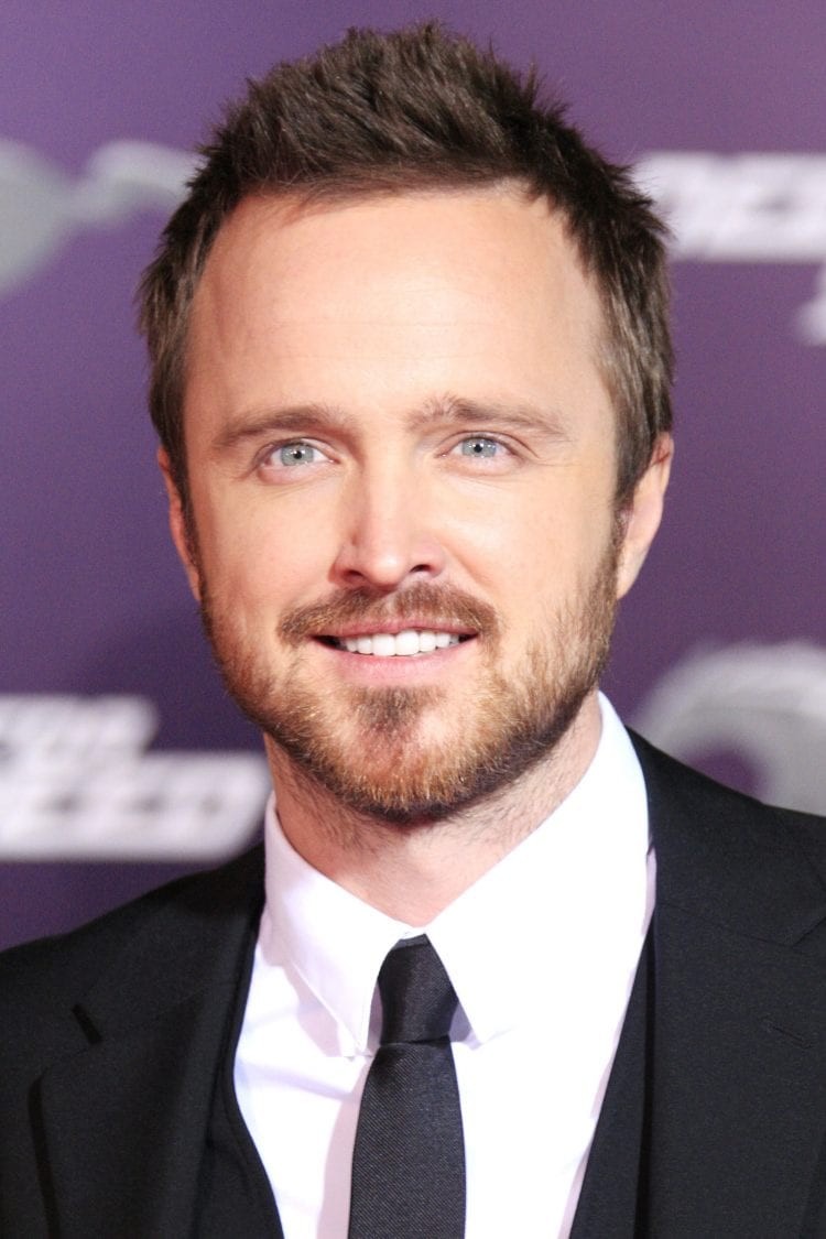 Aaron Pauls Short Brushed Hair