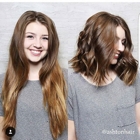 Brown Bob