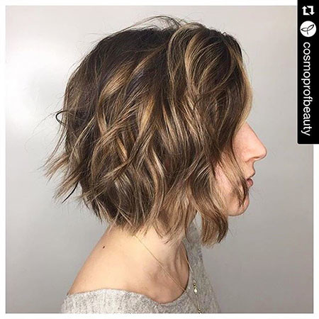 Curly 2019