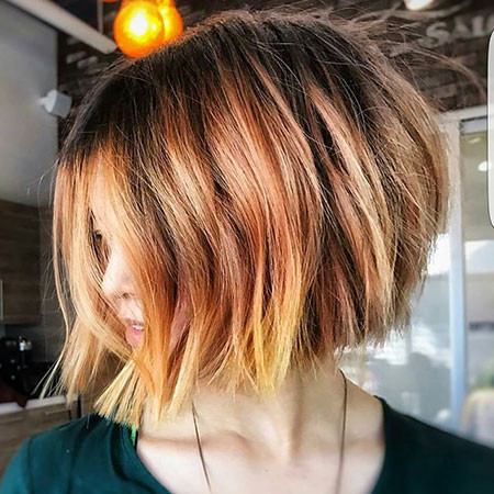 Great Bob
