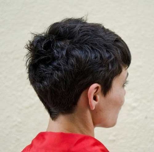 Very Short Pixie on Dark Hair Back View