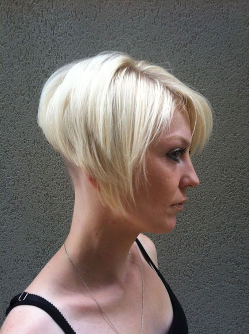 Graduated Pixie Bob