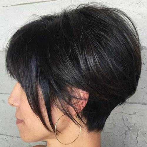 Modern Pixie Bob