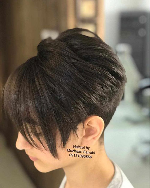 Pixie Bob Cut