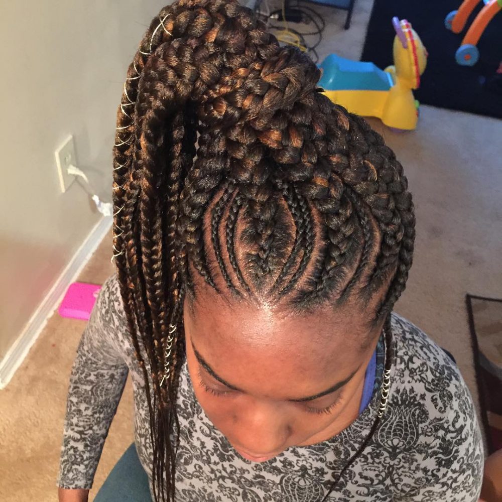 Braided Pony Hairstyle