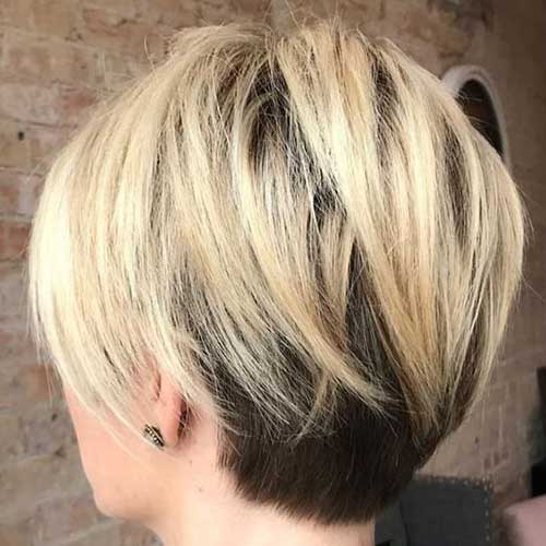Pixie Bob