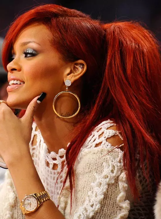 The Rouge Ponytail