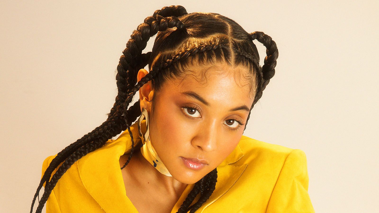 Two Sides Pony Knotless Box Braid