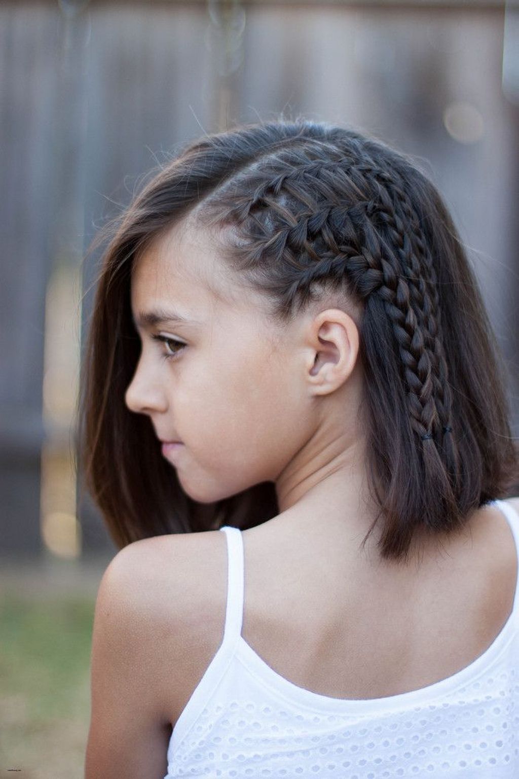 French Braid Net