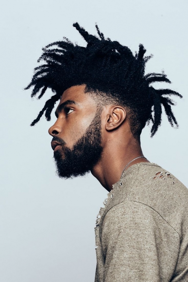 Long Dreadlocks