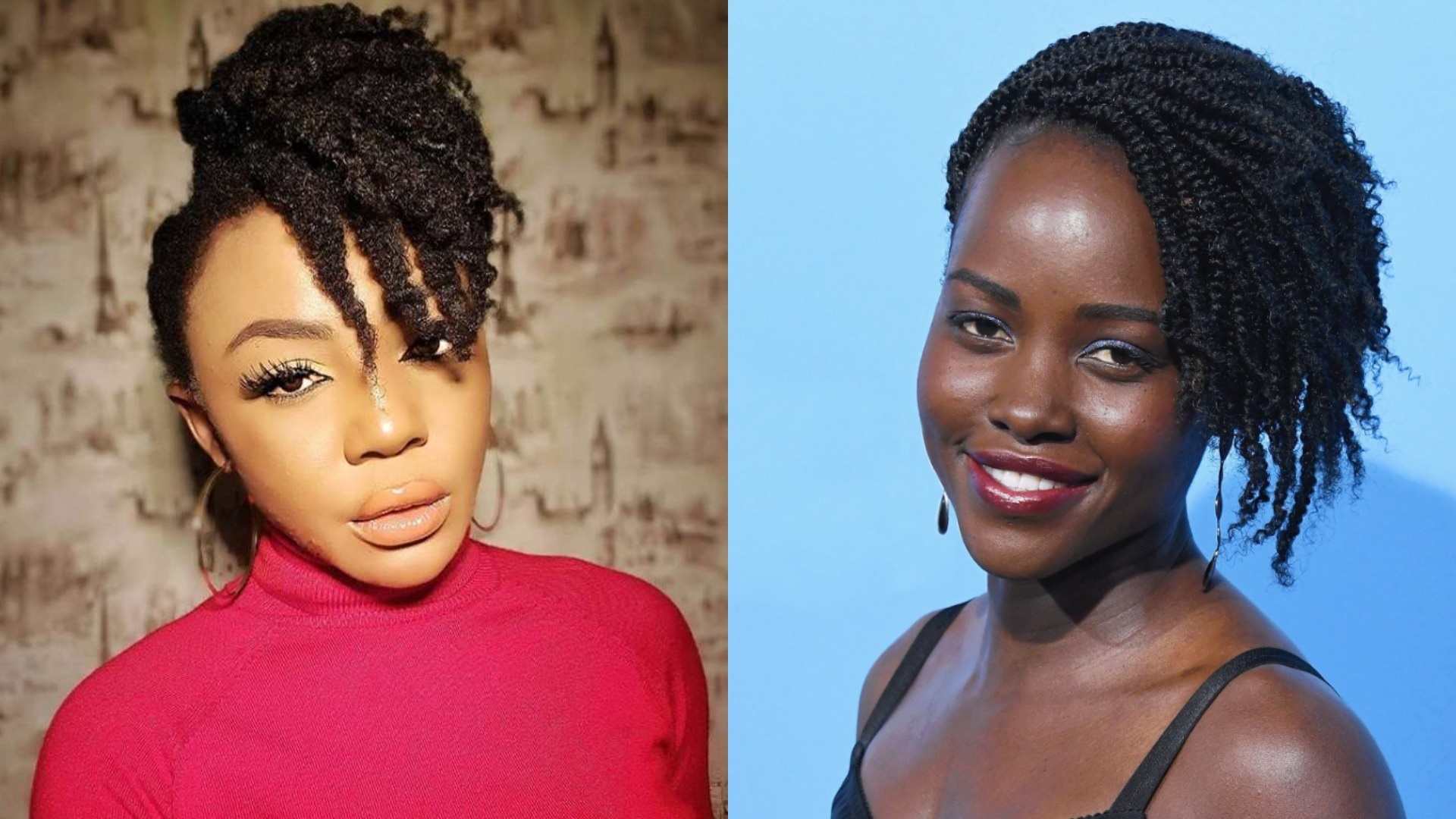 Twist Hairstyles