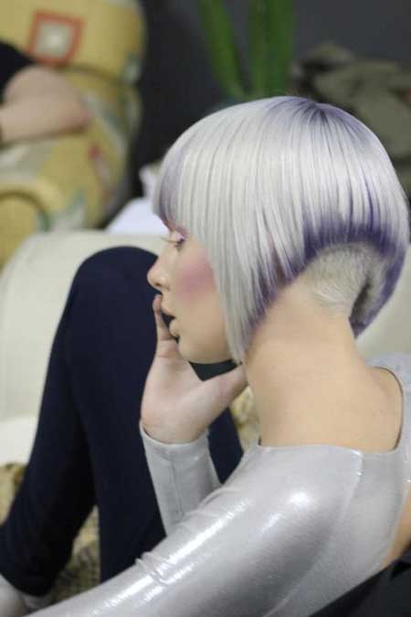 Silver and Purple Gorgeous Look
