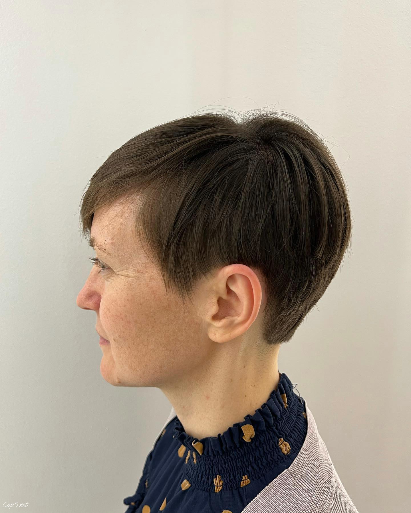 Defined Brown Hairstyle