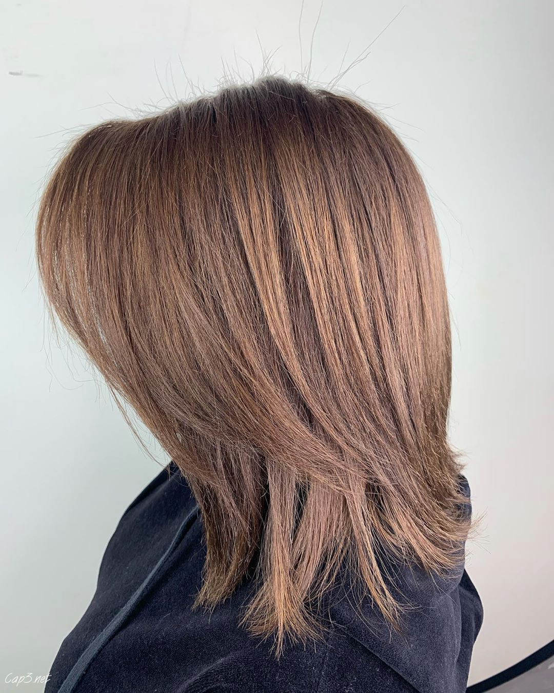 Chestnut Lob