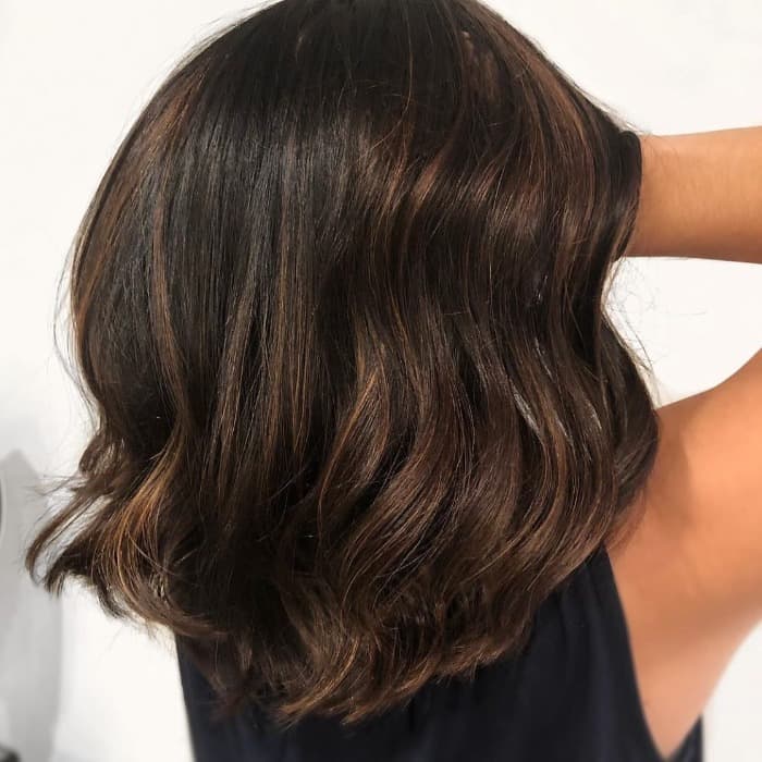 Chestnut Shag Bob