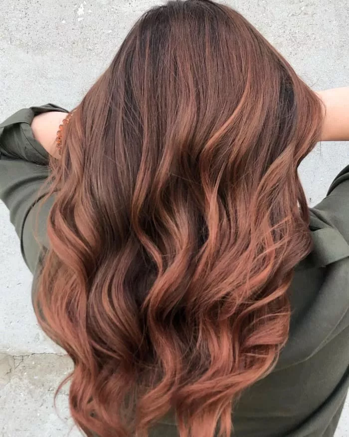 Chocolate Auburn