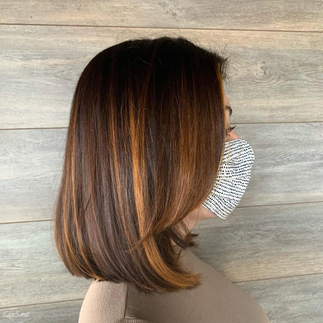 Highlights Bob