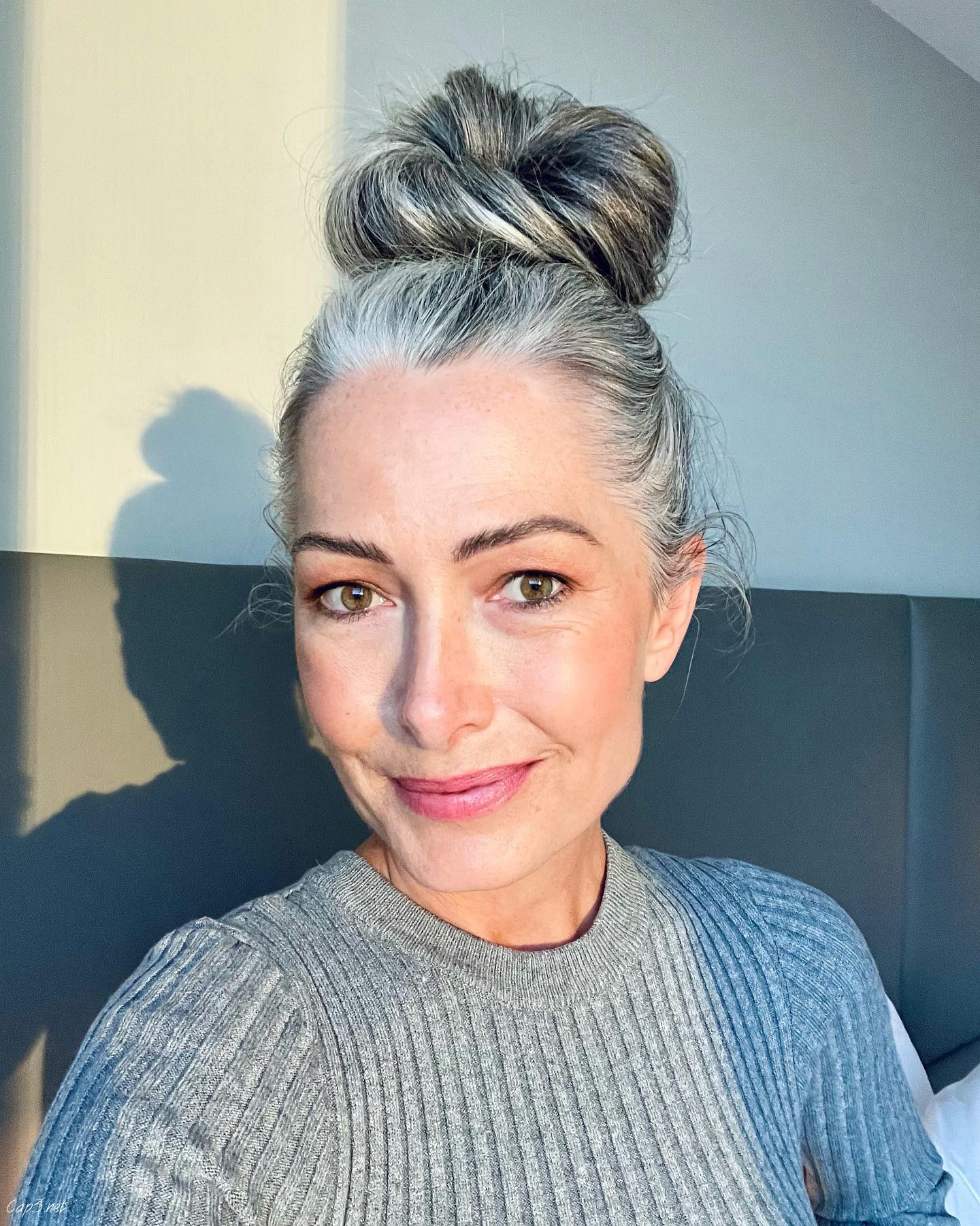 Gray Hair High Bun