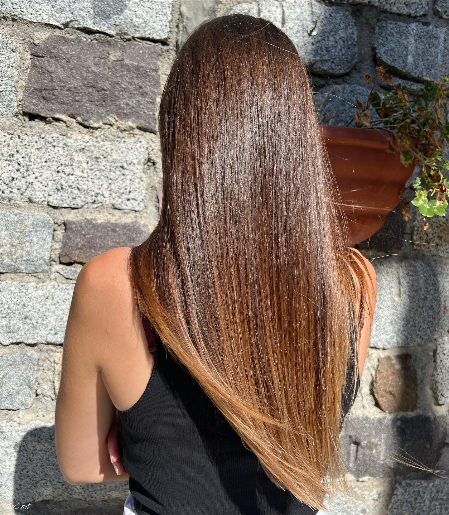 Light Brown Glassy Haircut