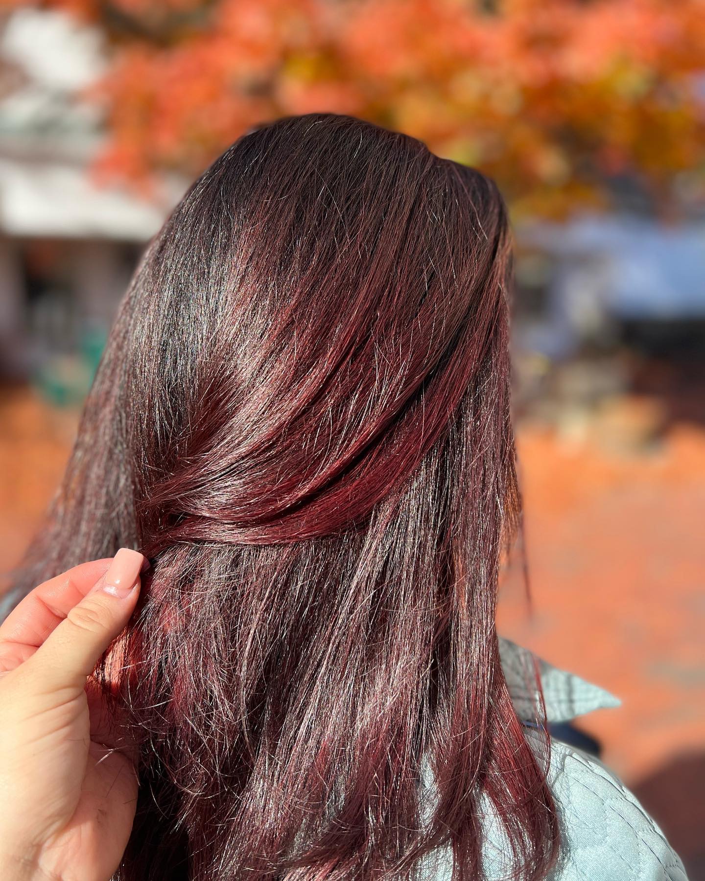 merlot hair color 35