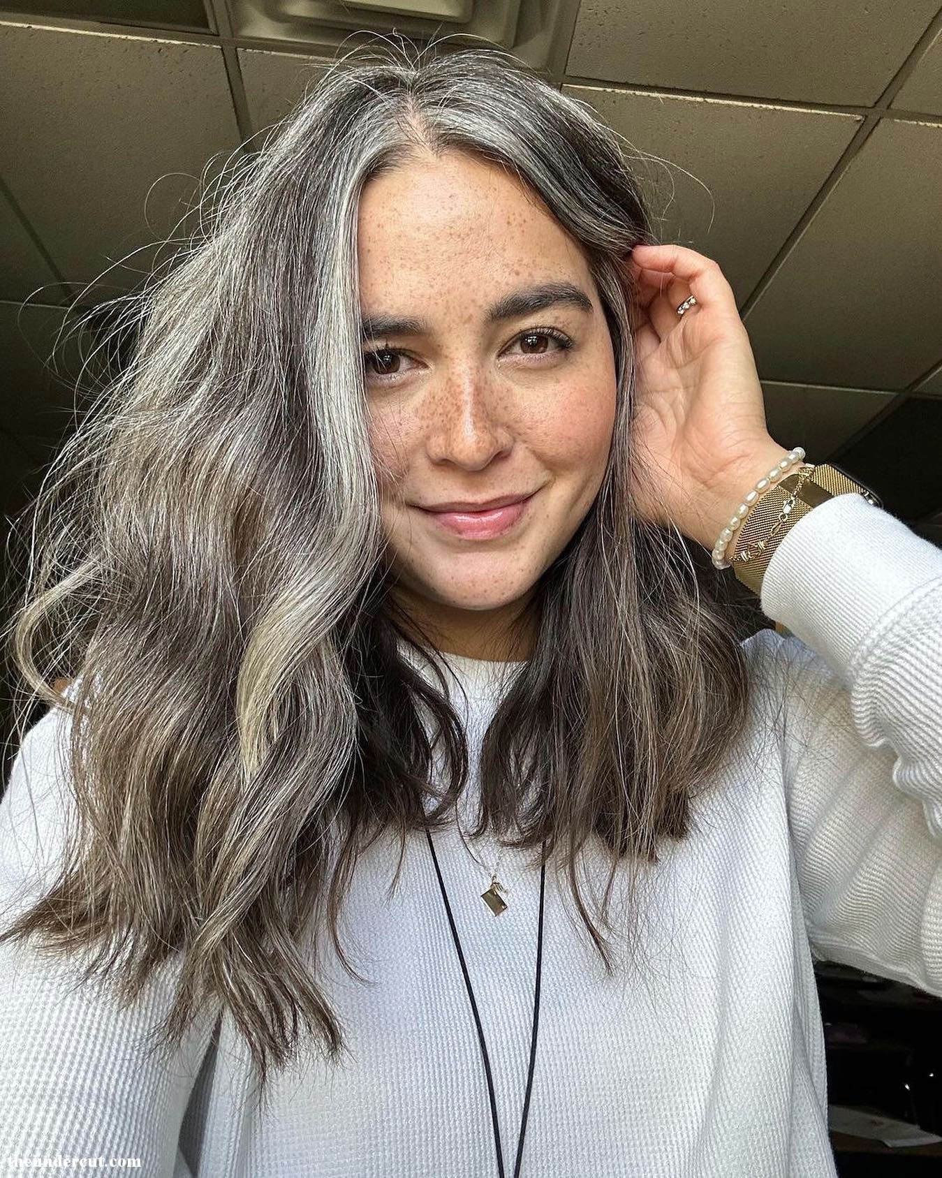 Frizzy Gray Hair Blend