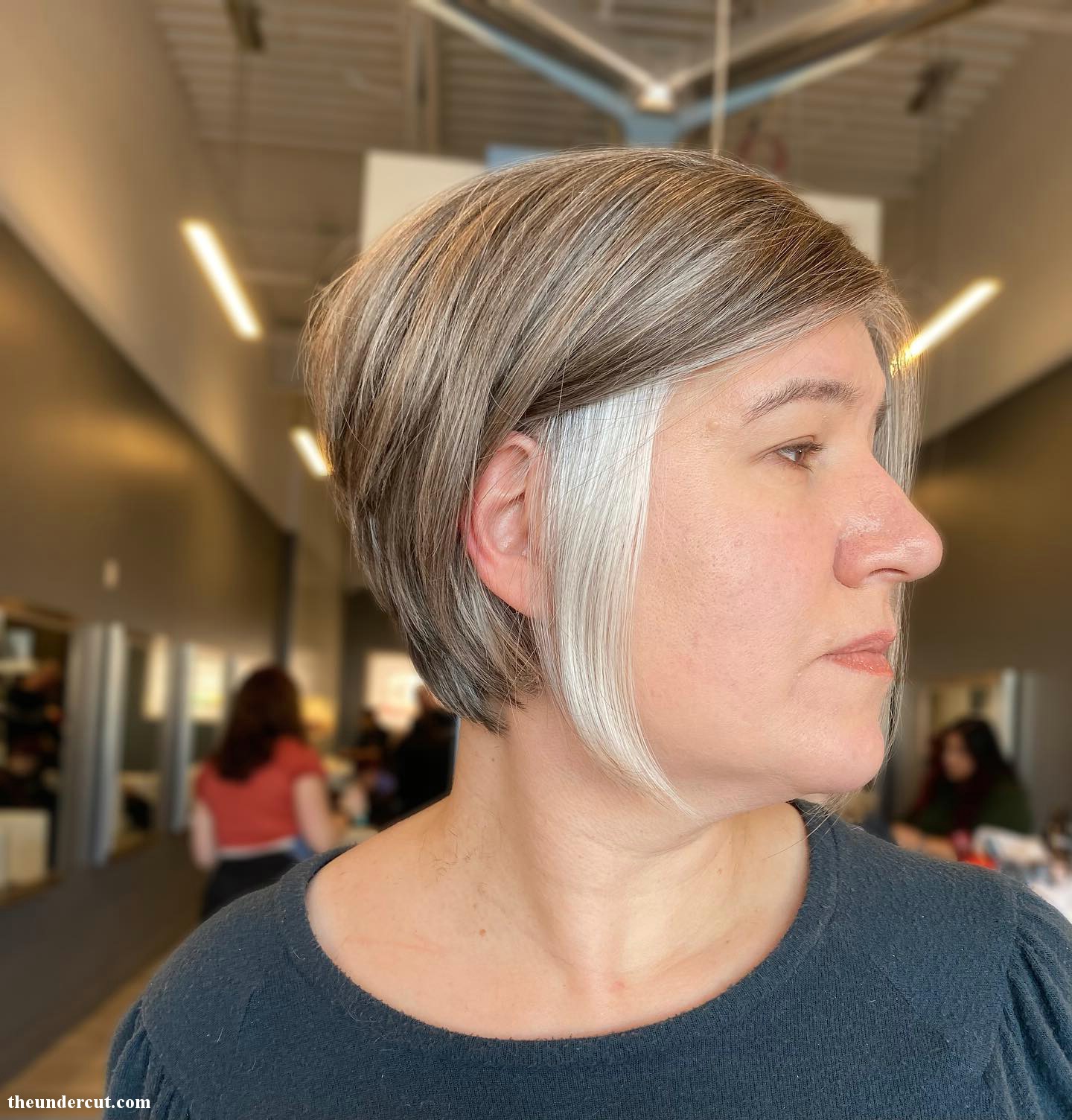 Fun Gray Hair Blend