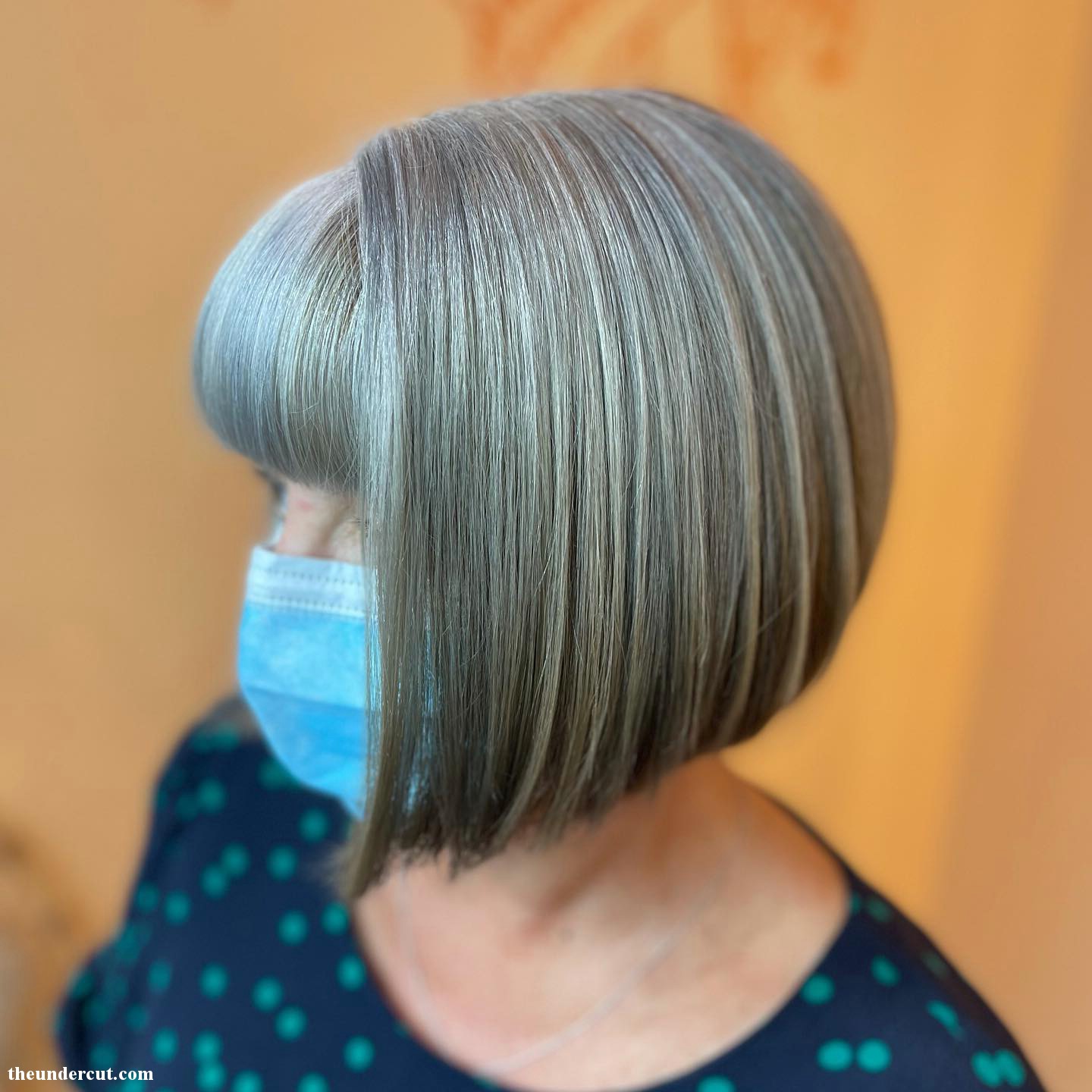 Light Gray Hair Blend