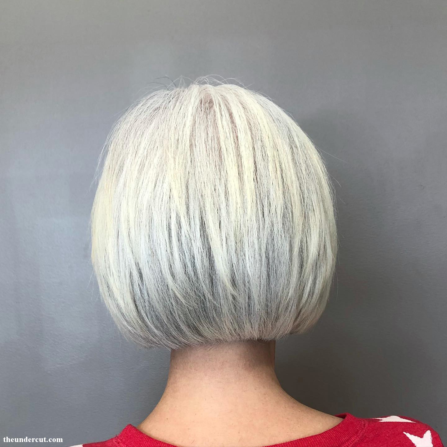 Platinum Gray Hair Blend
