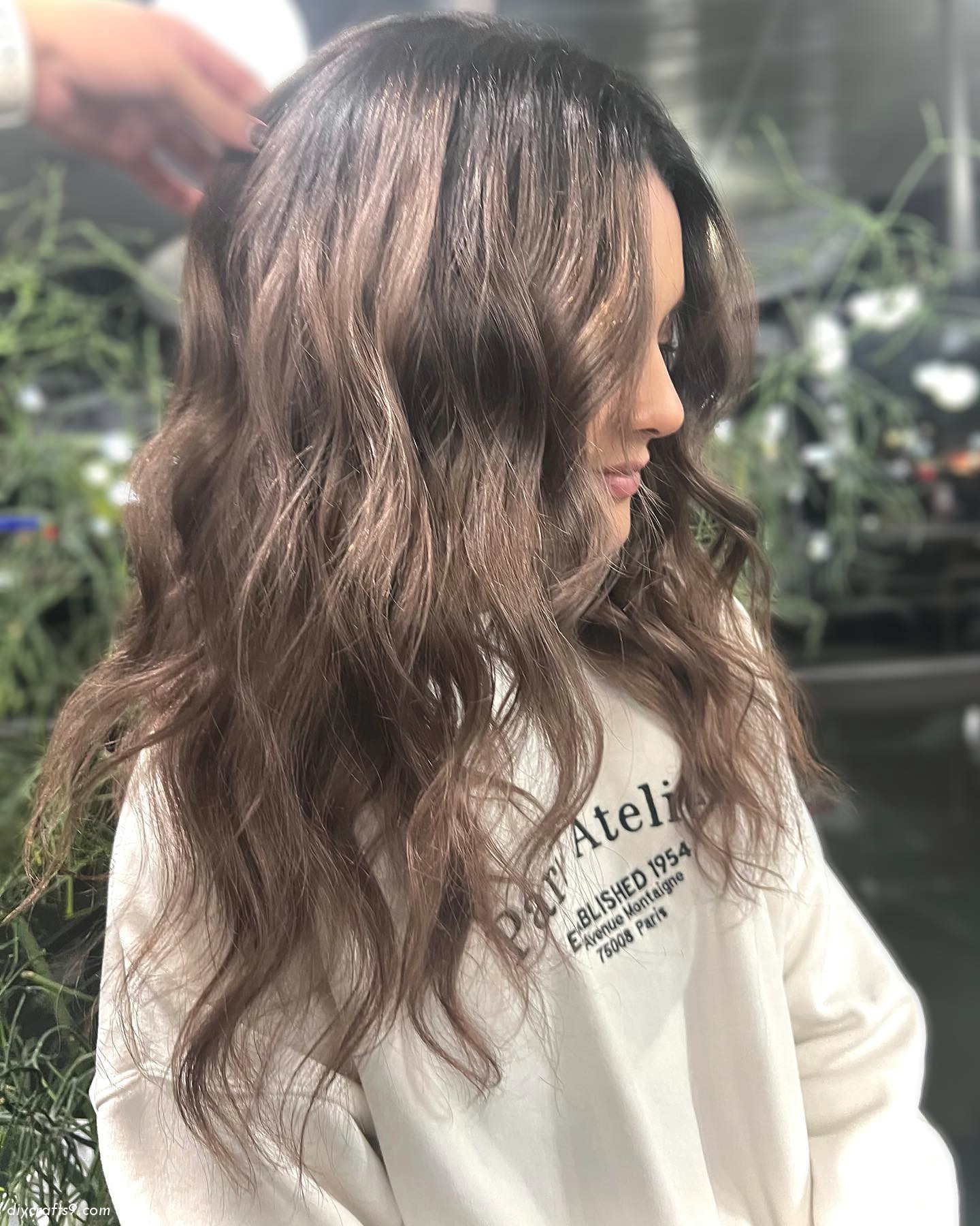 Shiny Mushroom Hair Color