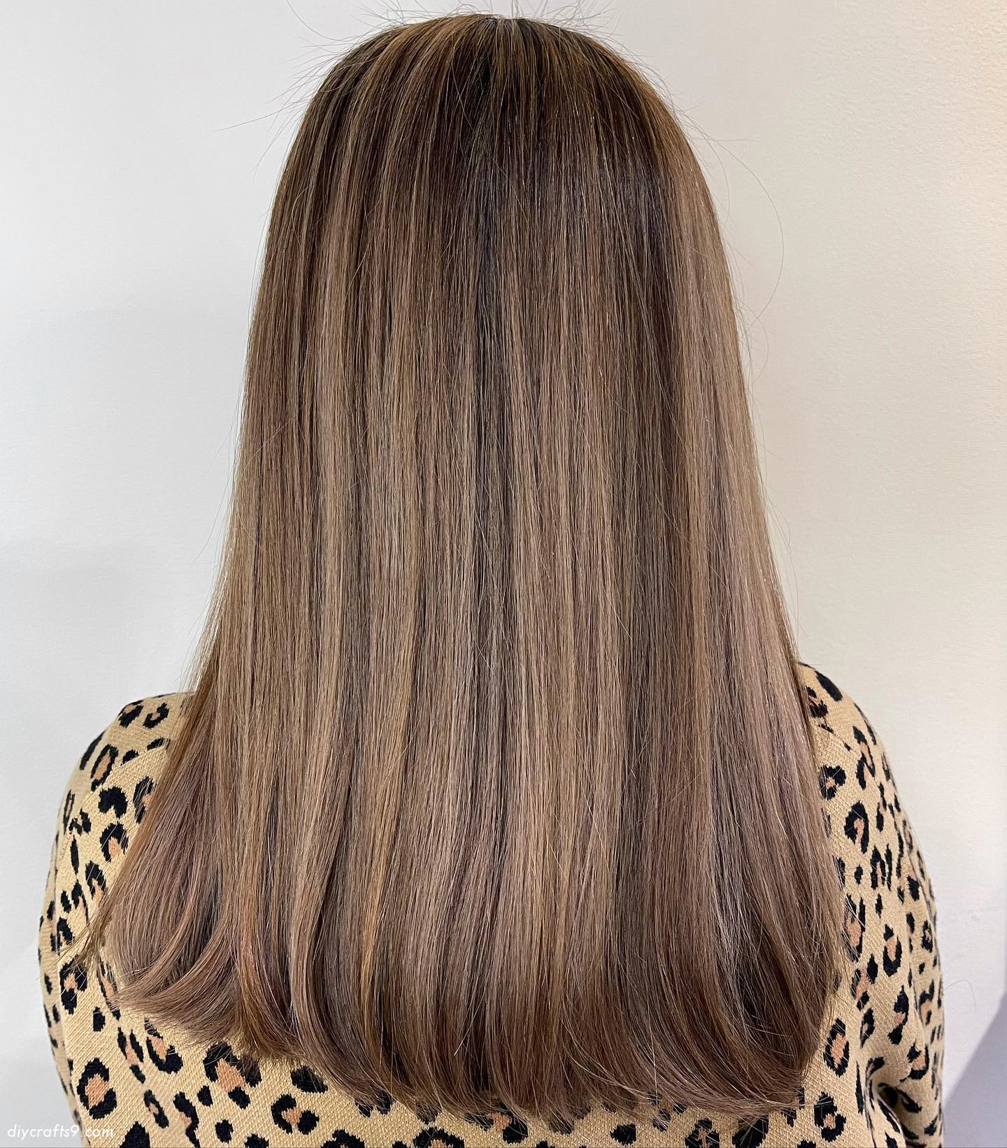 Straight Mushroom Hair Color Cut