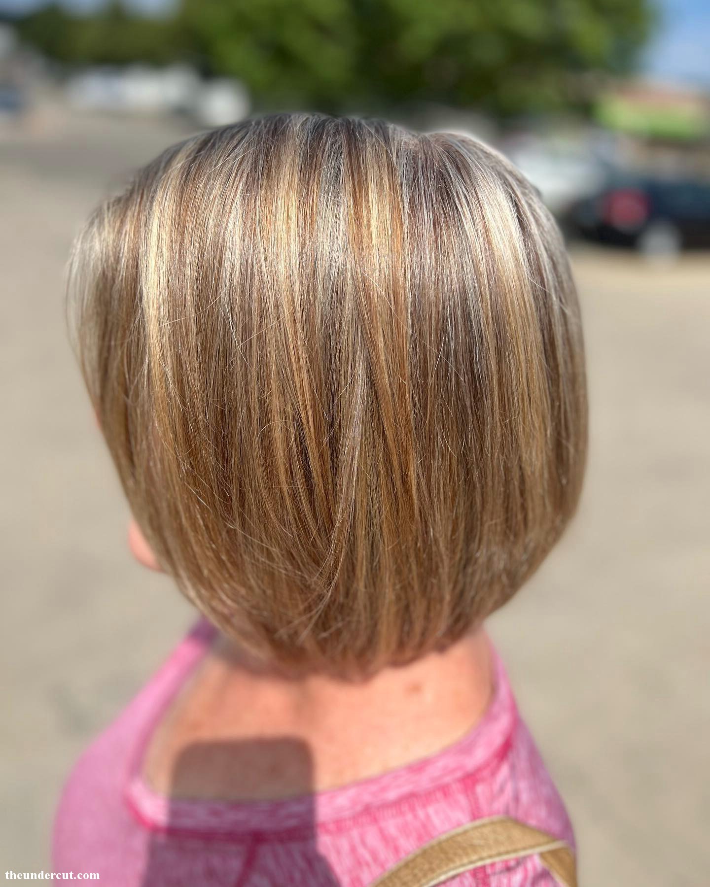 Warm Toned Gray Hair Blend