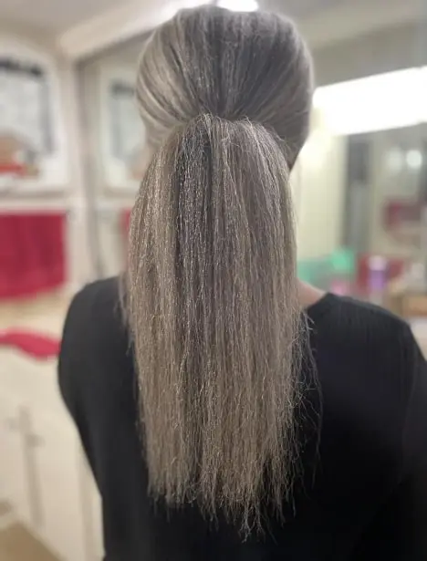 3 gray black hair in a long ponytail
