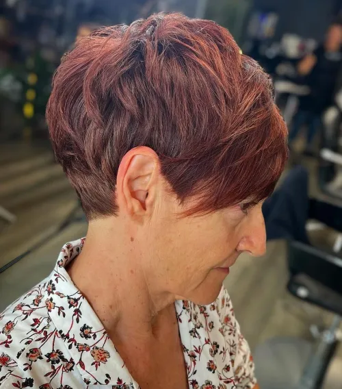 Edgy Auburn Pixie Bob
