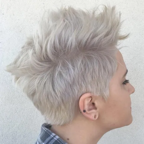 Hawk Like Hairstyle