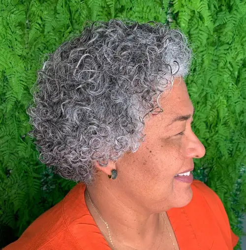 Peppered Curly Short Haircut