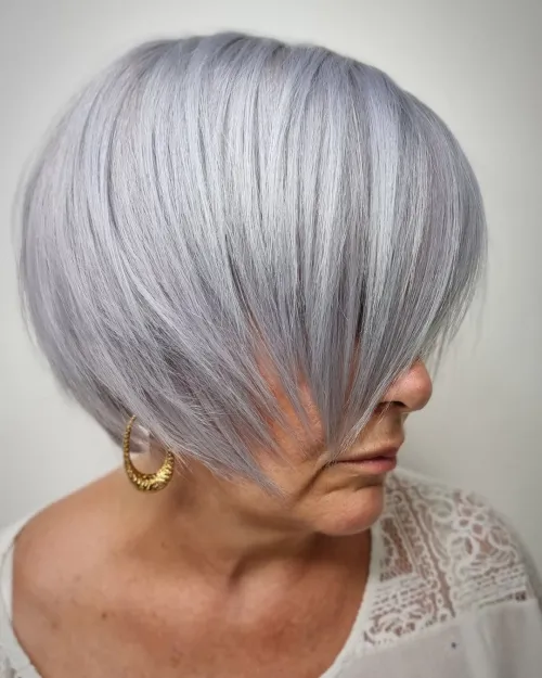 Silver Pixie Bob