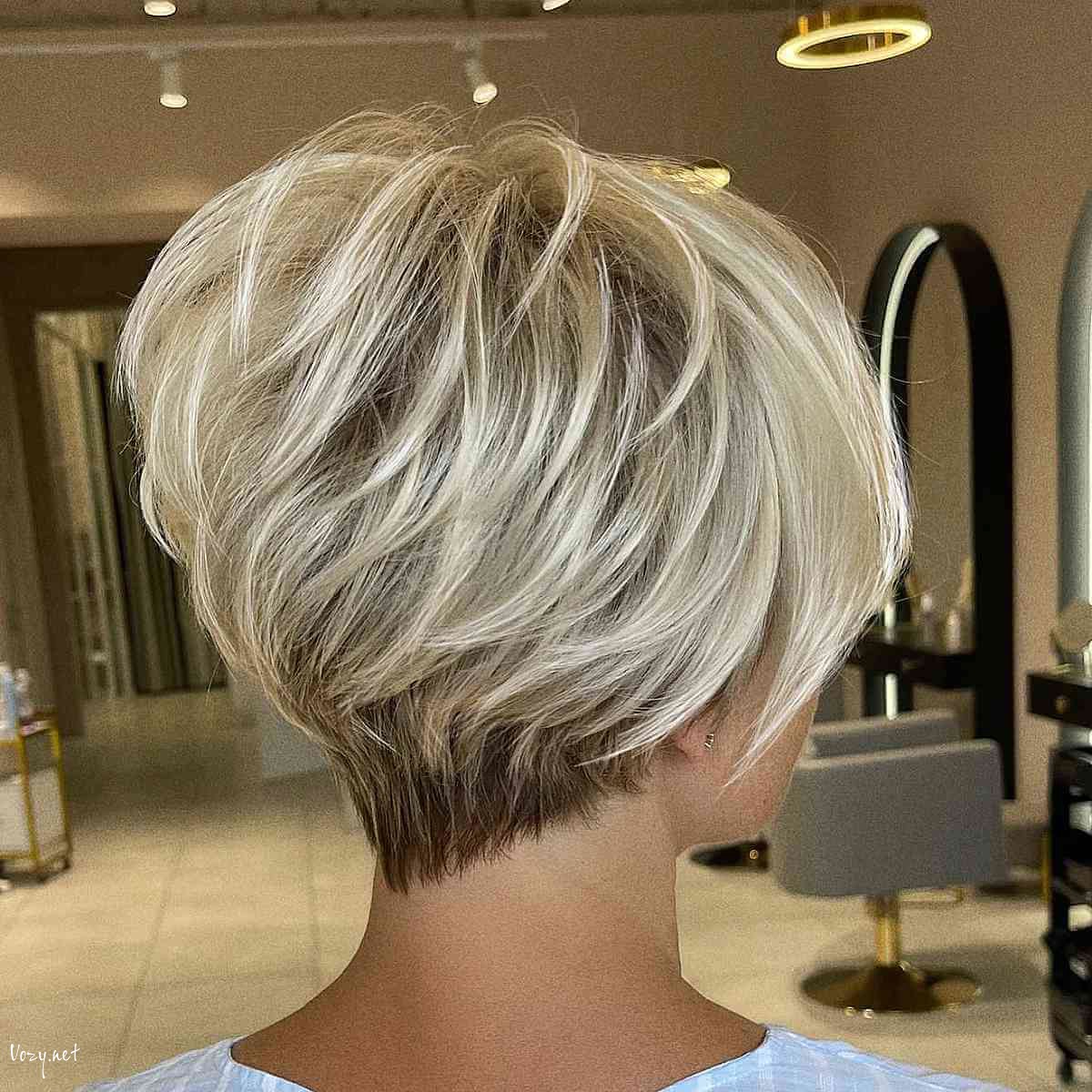 gorgeous back view of a pixie bob