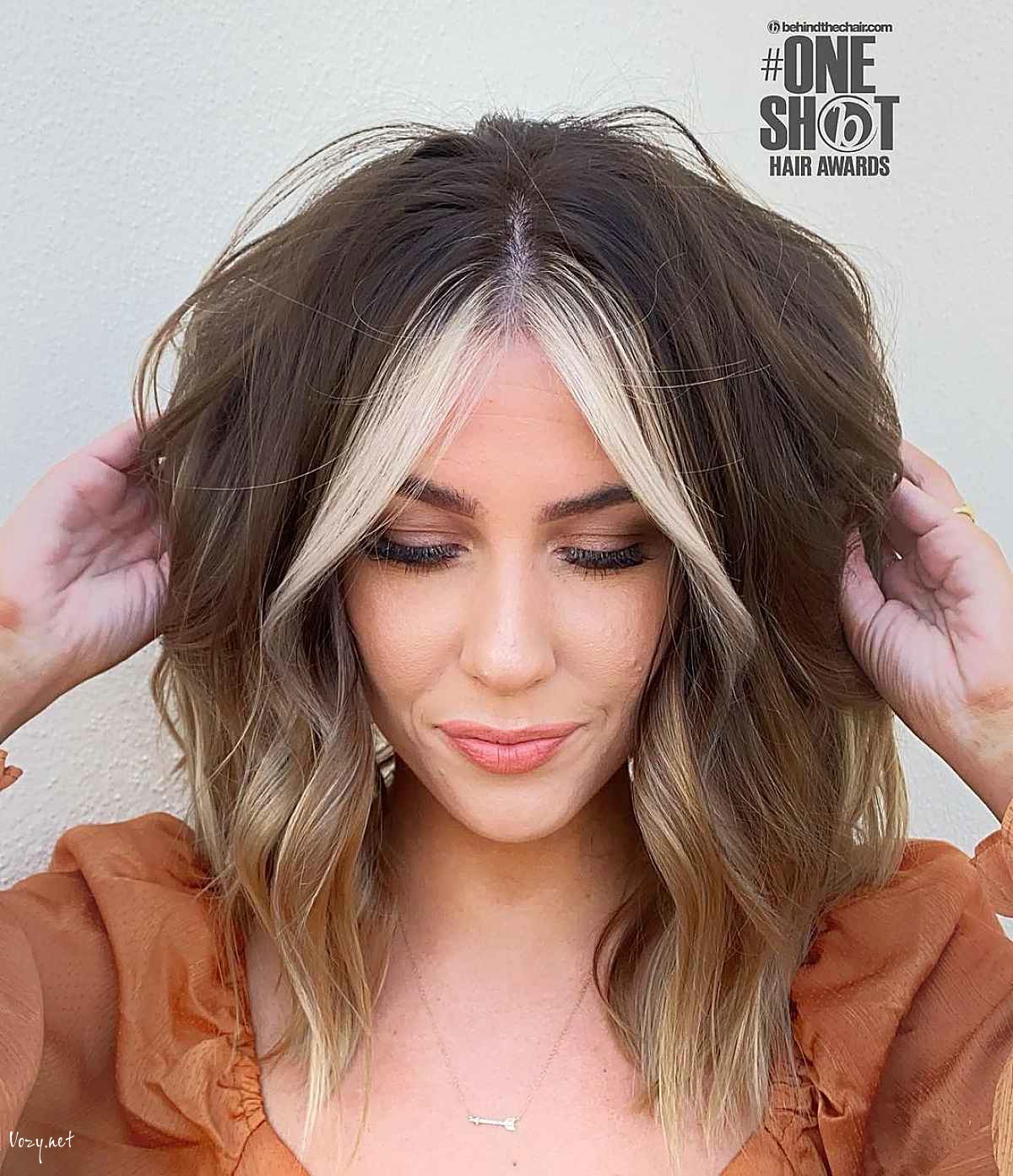shag with highlights 1