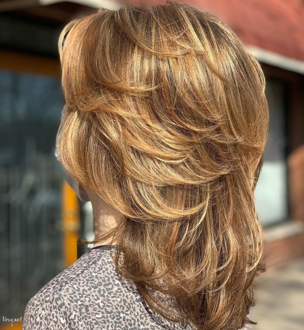 the feathered shag