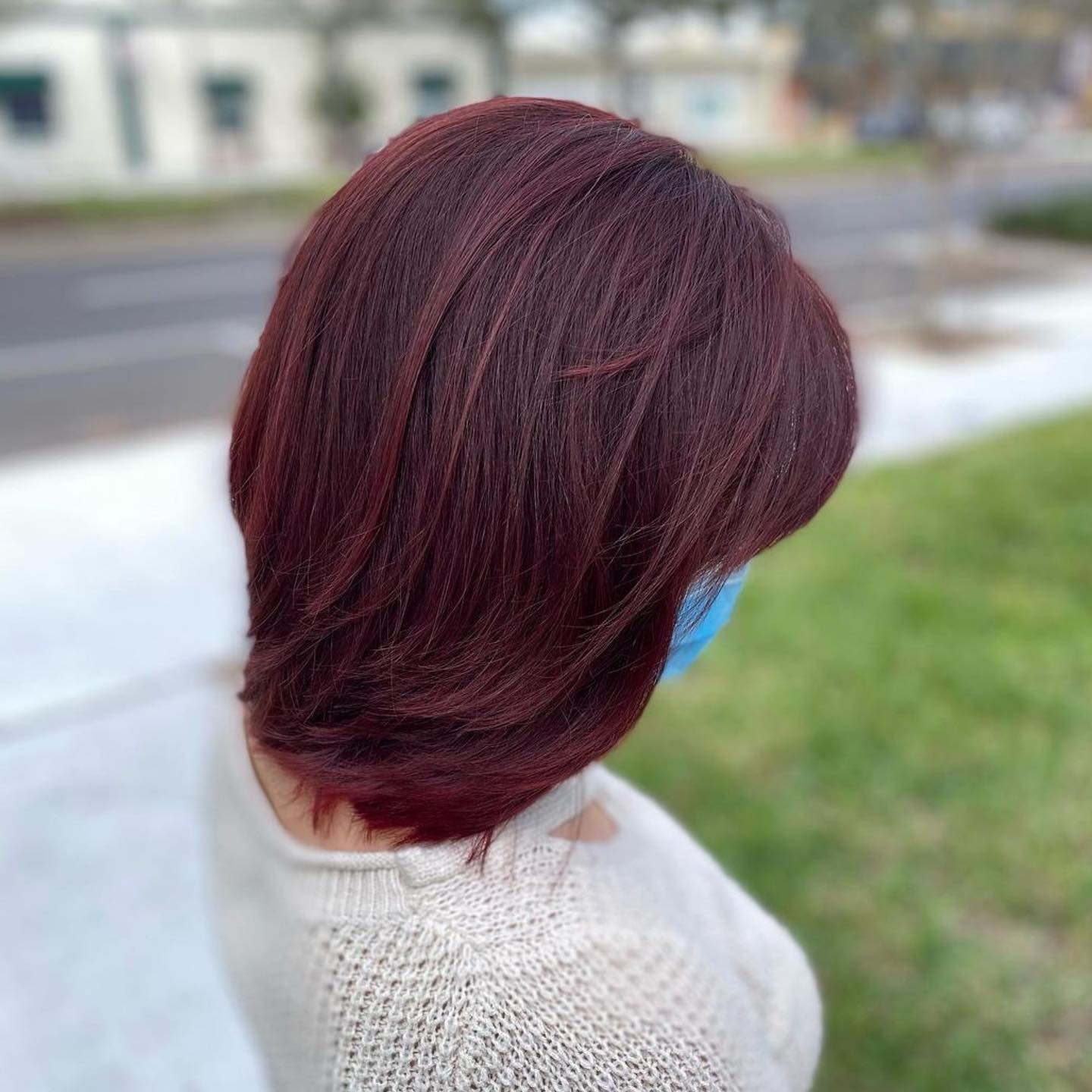 Dark Plum Cherry Brunette Hair