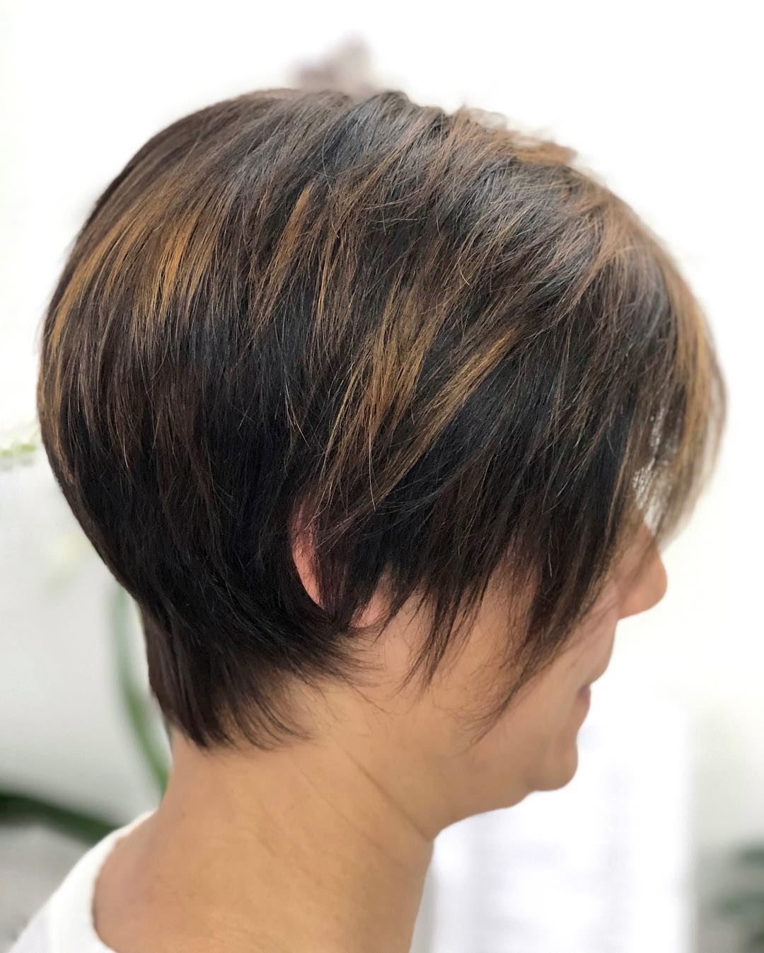 Highlights