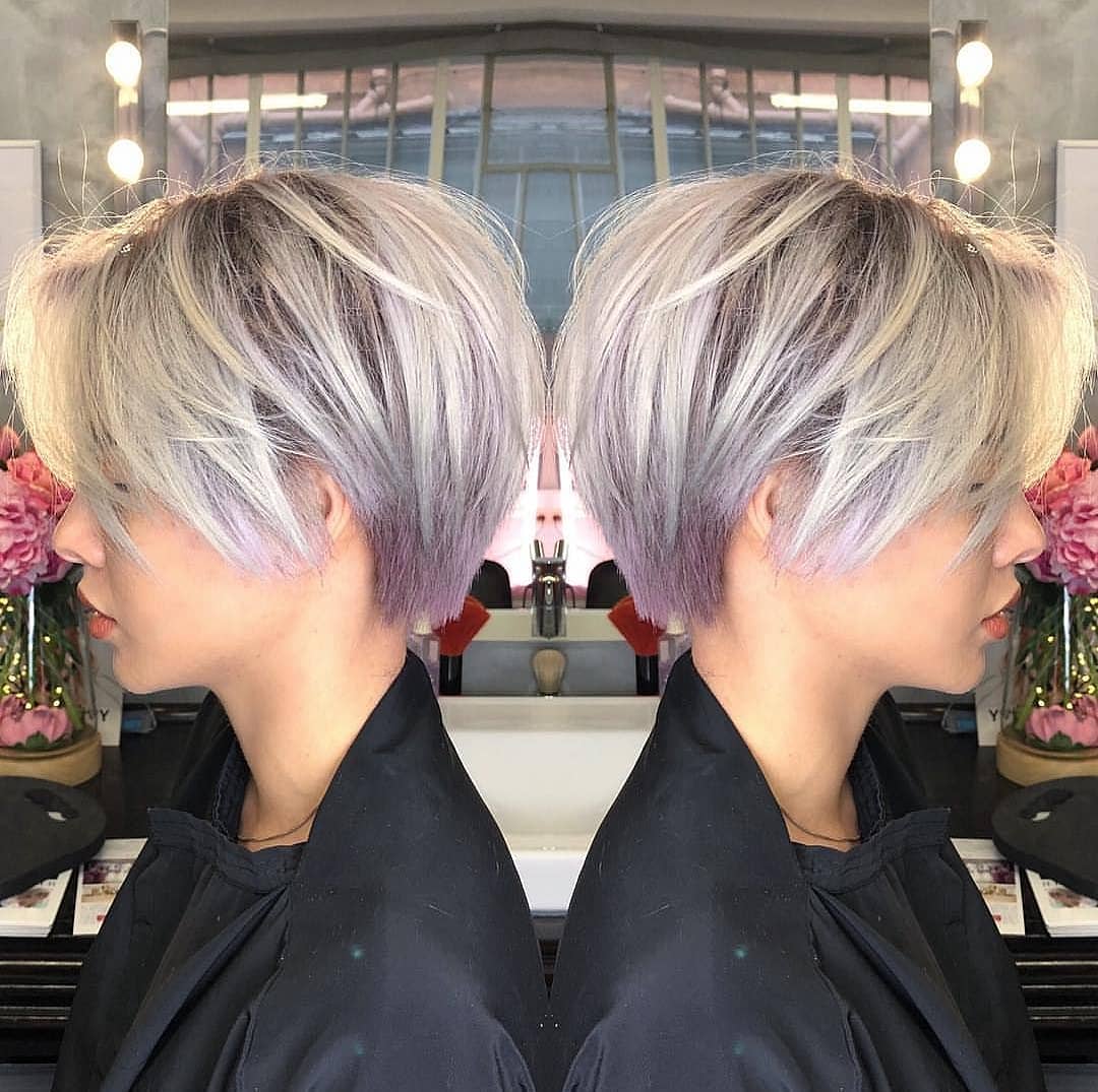 Lilac Pixie