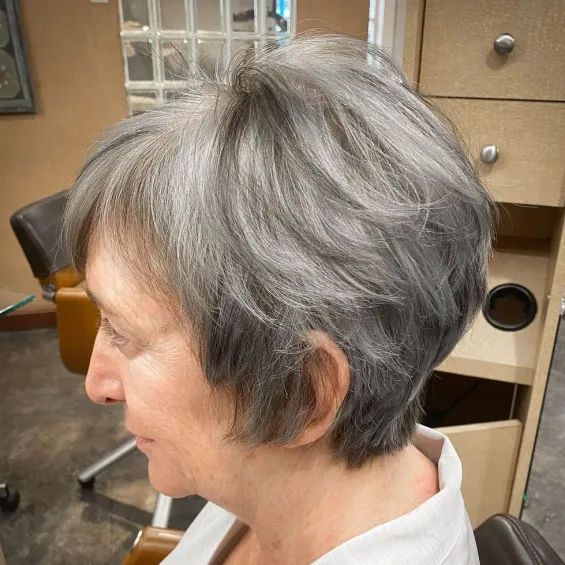 Silver Pixie Bob with Lowlights